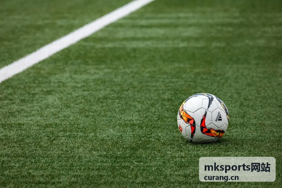 mksports网站观赛指南专题封面图