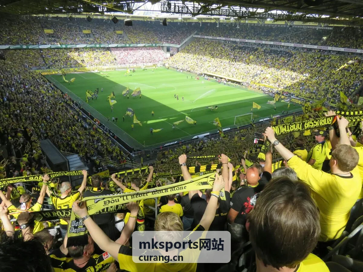 mksports网站结果复盘专题封面图