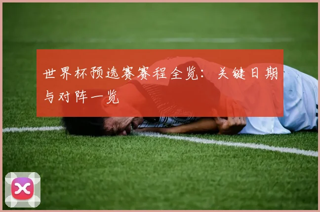 世界杯预选赛赛程全览：关键日期与对阵一览