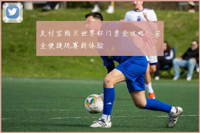 支付宝购买世界杯门票全攻略：安全便捷观赛新体验