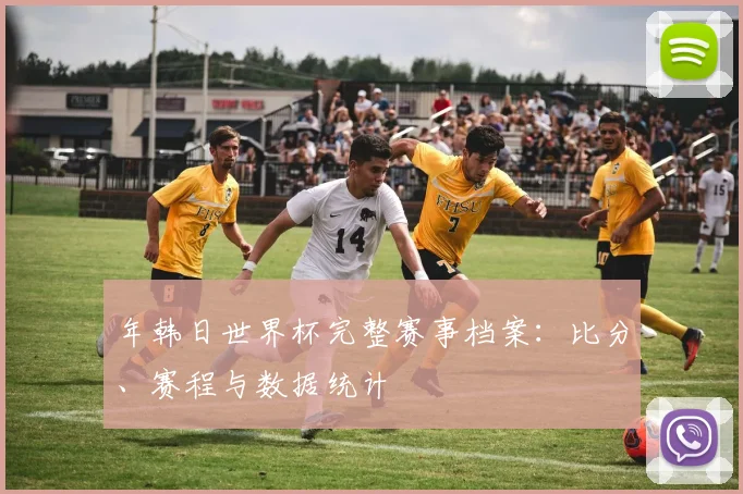 年韩日世界杯完整赛事档案：比分、赛程与数据统计