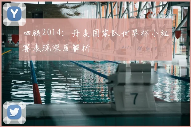回顾2014：丹麦国家队世界杯小组赛表现深度解析