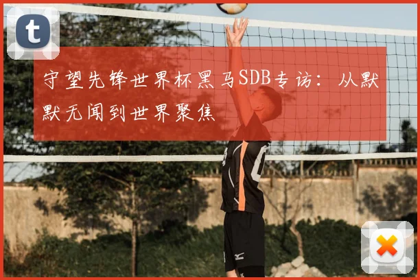 守望先锋世界杯黑马SDB专访：从默默无闻到世界聚焦