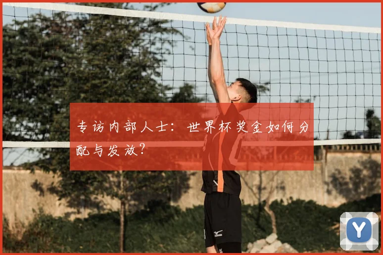 专访内部人士：世界杯奖金如何分配与发放？