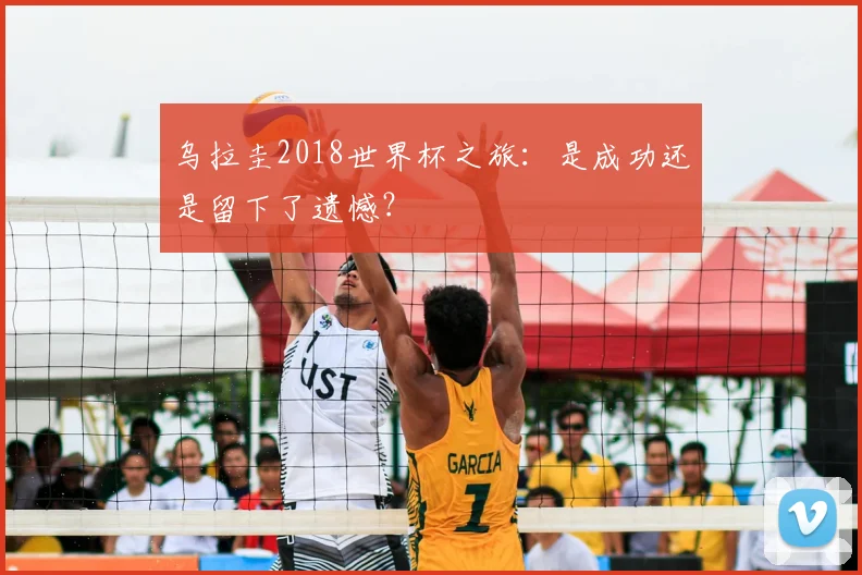 乌拉圭2018世界杯之旅：是成功还是留下了遗憾？