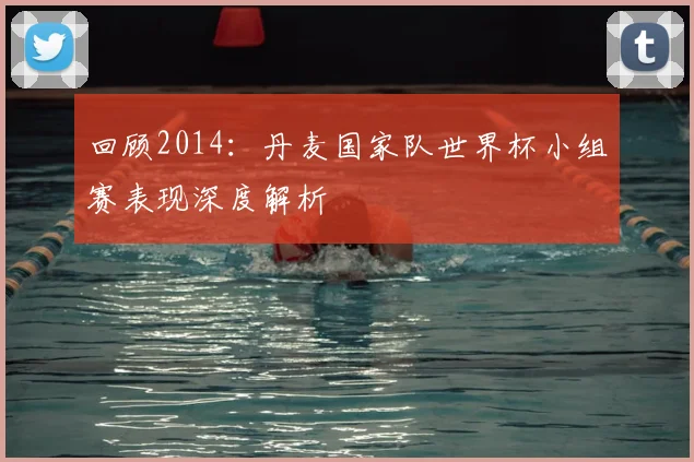 回顾2014：丹麦国家队世界杯小组赛表现深度解析